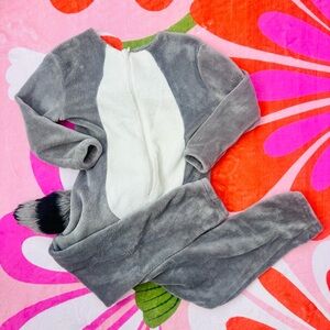H&M Gray and White Kids Raccoon Costume